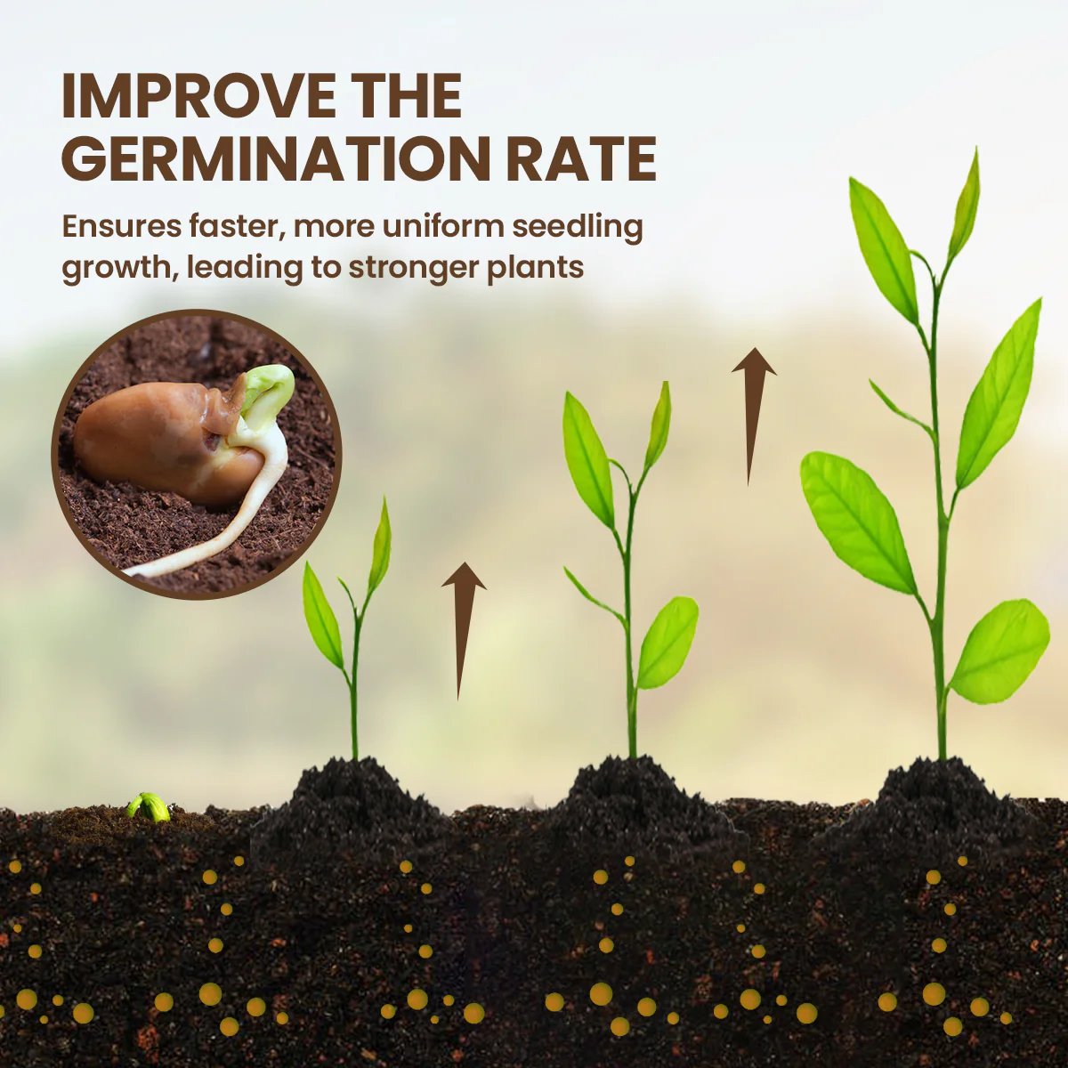 🏆79K+ SOLD! 🌳Soil Pro Activator